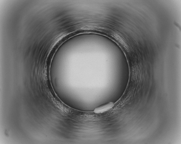 X0000098020976200804111253