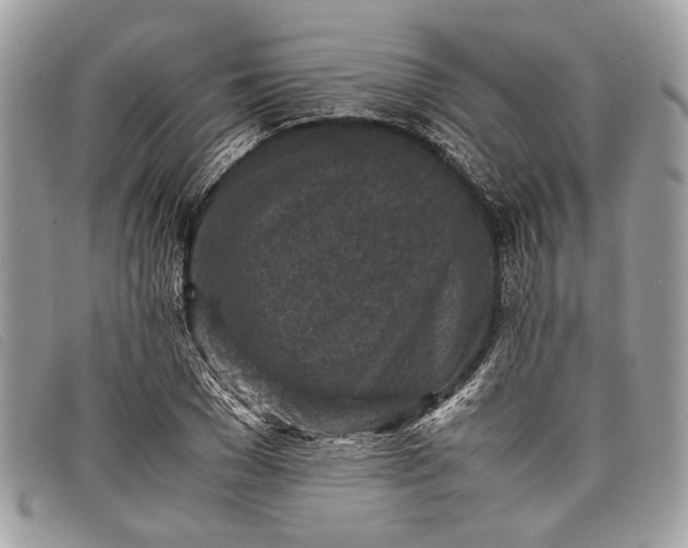 X0000098020977200804111253