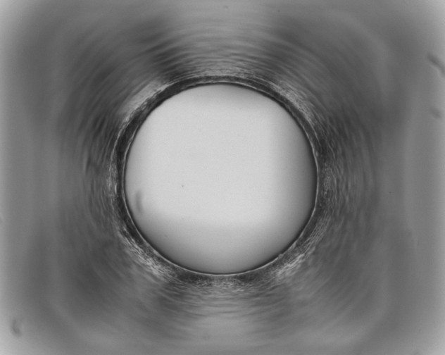 X0000098020979200804111253