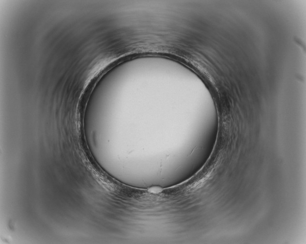 X0000098020981200804111253