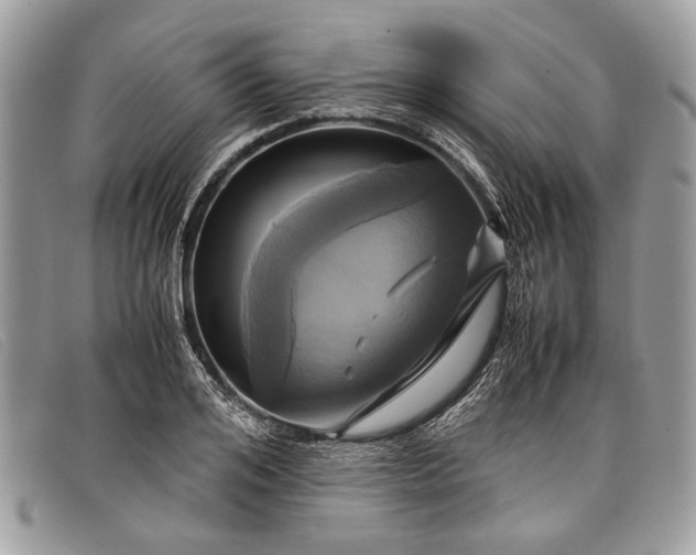 X0000098020984200804111253