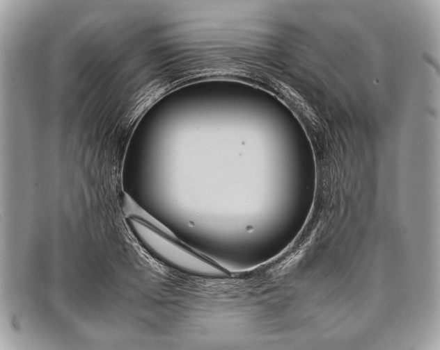 X0000098020985200804111253