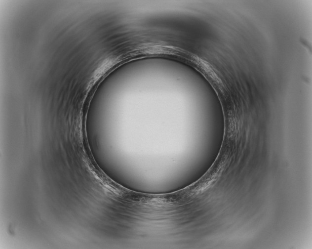 X0000098020986200804111253