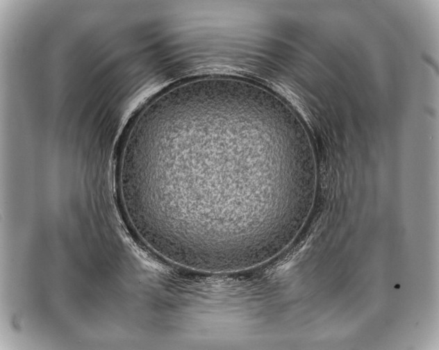 X0000098020987200804111253