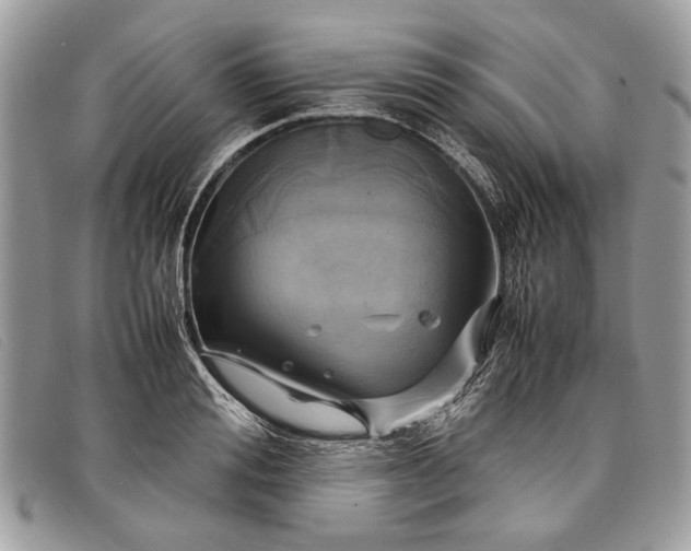 X0000098020988200804111253