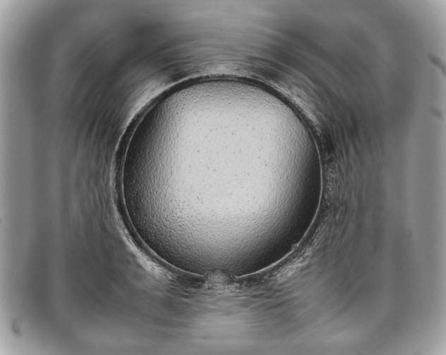 X0000098020991200804111253