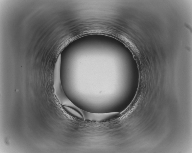 X0000098020993200804111253