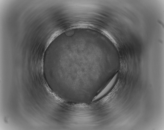 X0000098020994200804111253