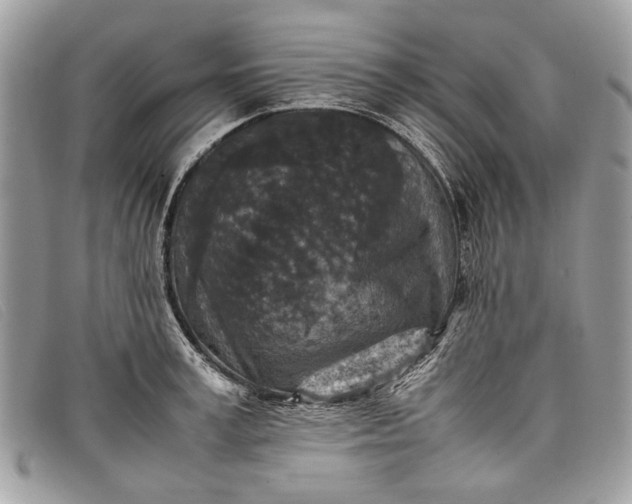 X0000098020995200804111253