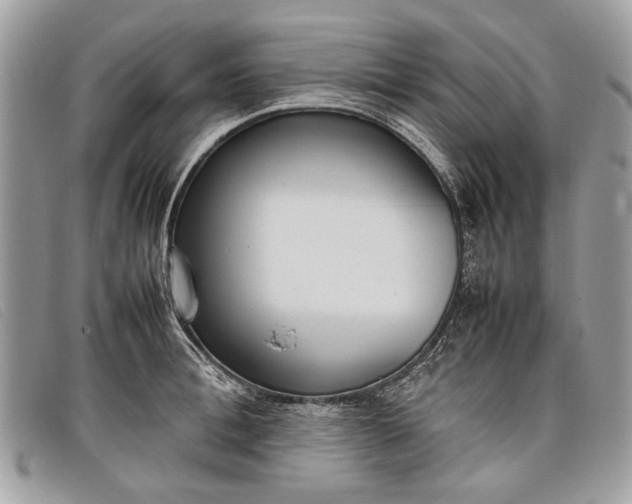 X0000098020996200804111253