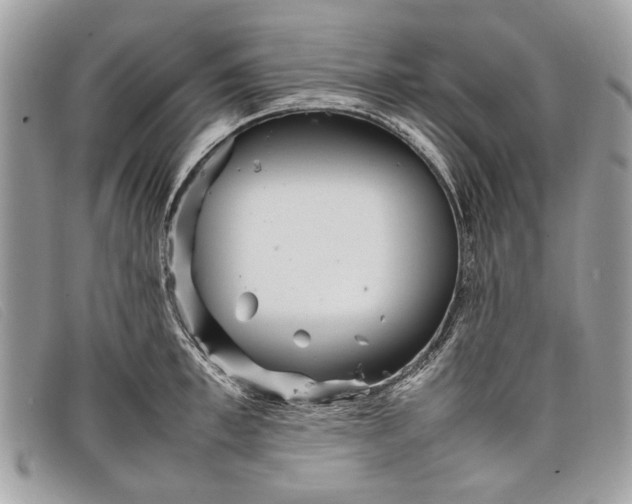 X0000098020997200804111253