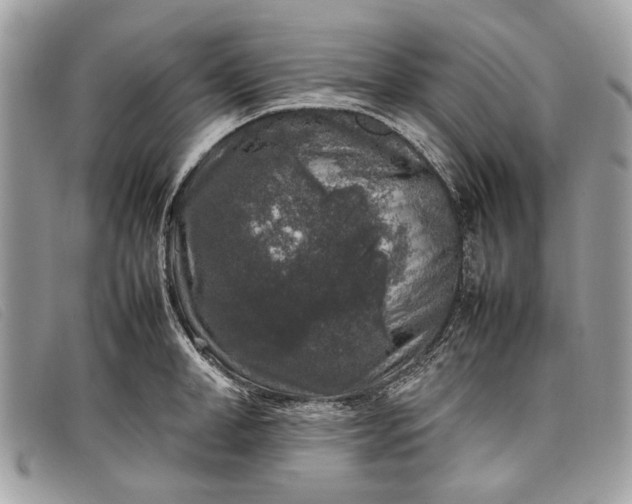 X0000098020998200804111253