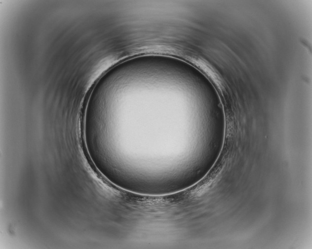 X0000098020999200804111253