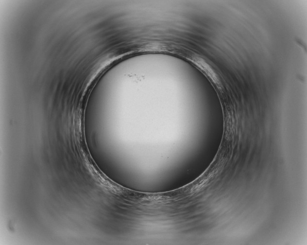 X0000098021000200804111253