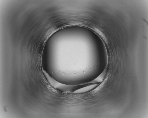 X0000098021001200804111253