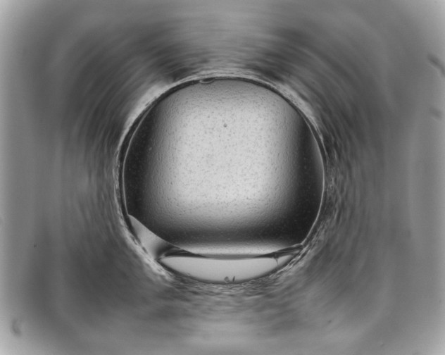 X0000098021005200804111253