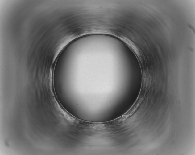 X0000098021006200804111253