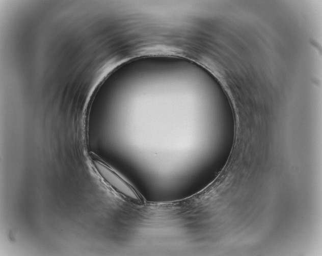 X0000098021008200804111253