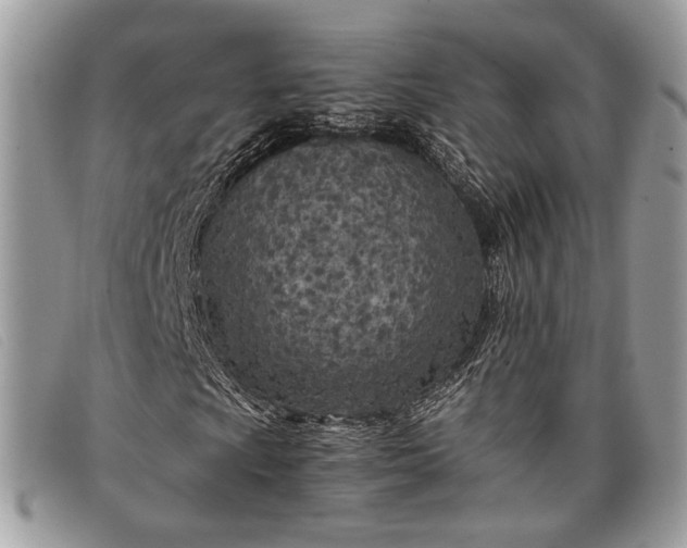 X0000098021009200804111252