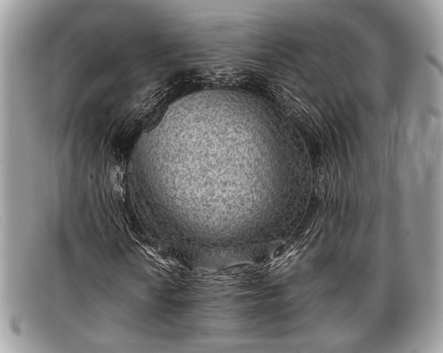 X0000098021010200804111252