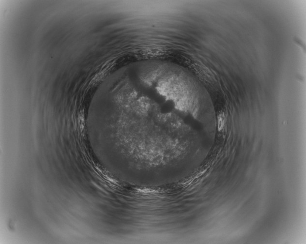 X0000098021011200804111252