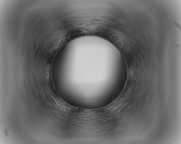 X0000098021012200804111252