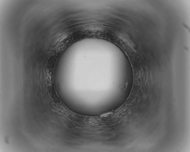 X0000098021013200804111252