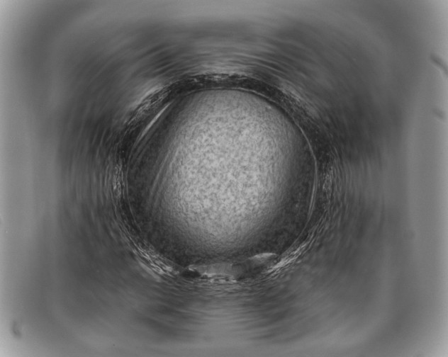 X0000098021014200804111252