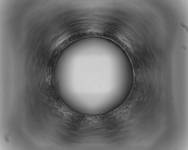 X0000098021015200804111252