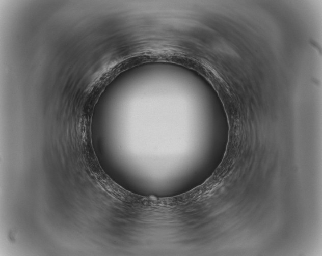 X0000098021016200804111252