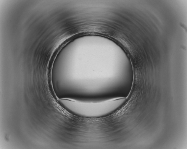 X0000098021020200804111252