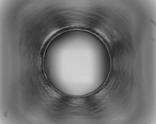 X0000098021021200804111252