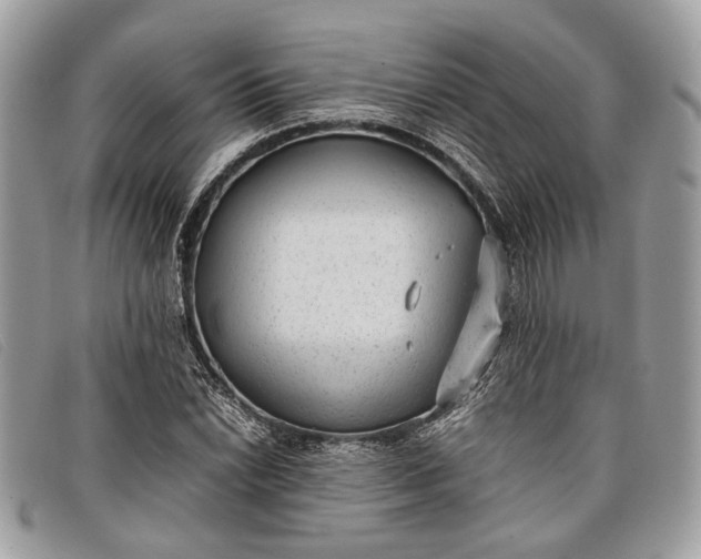 X0000098021022200804111252