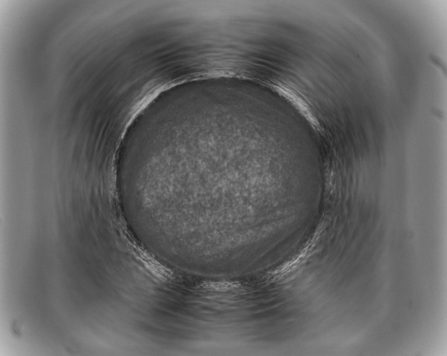 X0000098021023200804111252