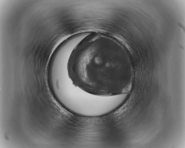 X0000098021024200804111252