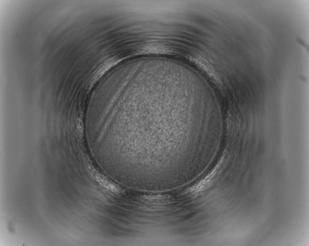 X0000098021025200804111252