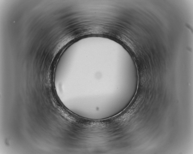 X0000098021026200804111252