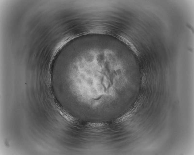 X0000098021027200804111252