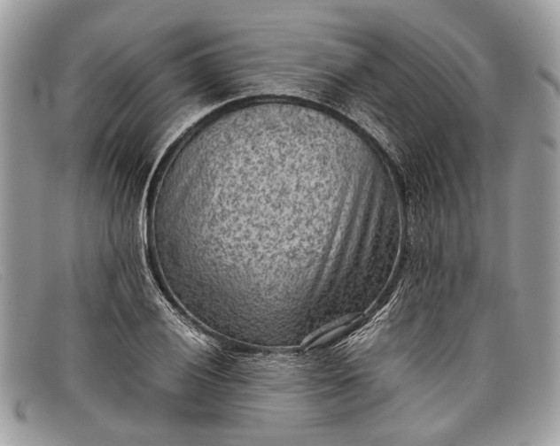 X0000098021028200804111252