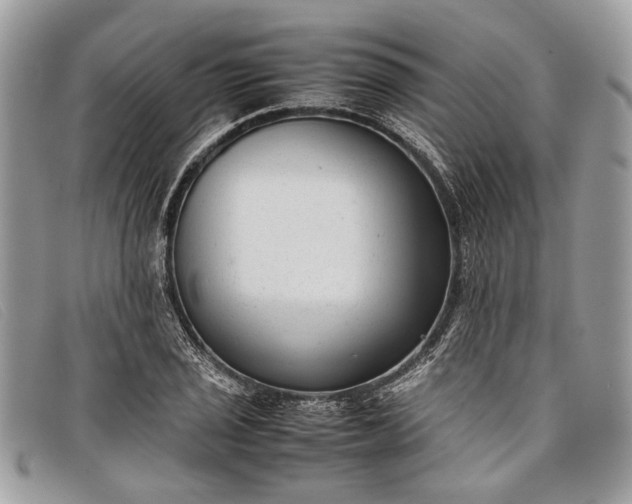 X0000098021029200804111252