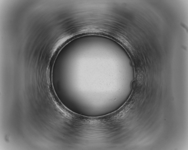 X0000098021030200804111252