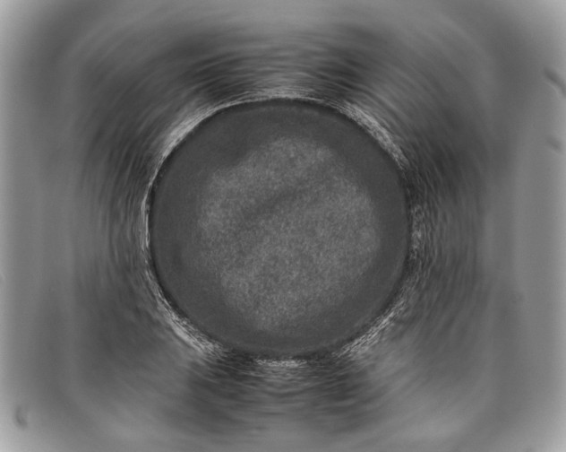 X0000098021031200804111252