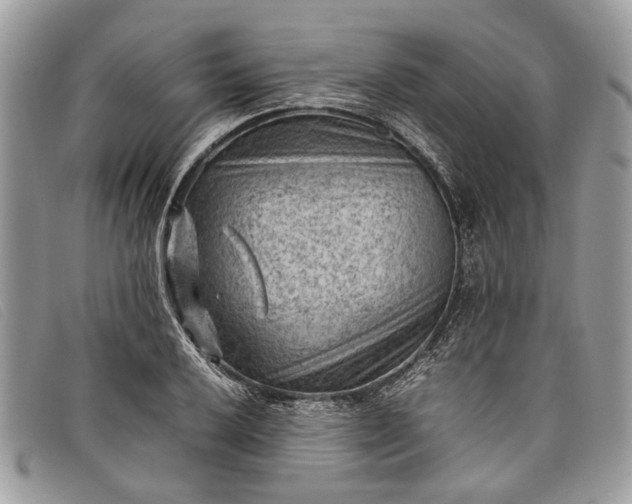 X0000098021032200804111252