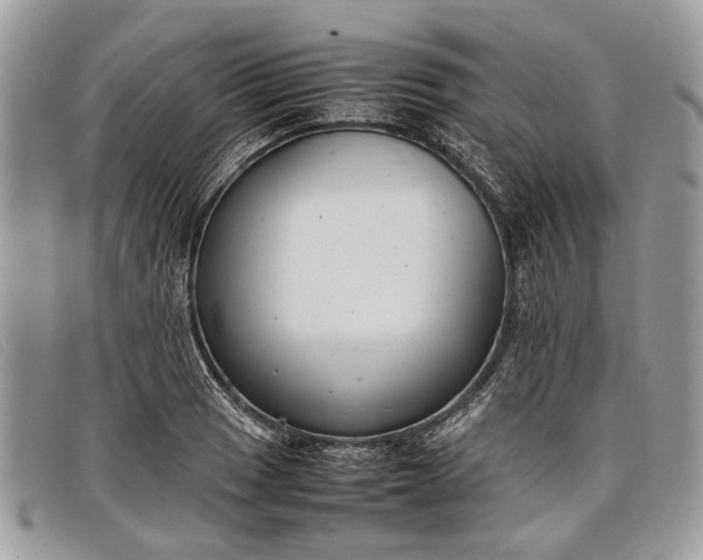 X0000098021033200804111252