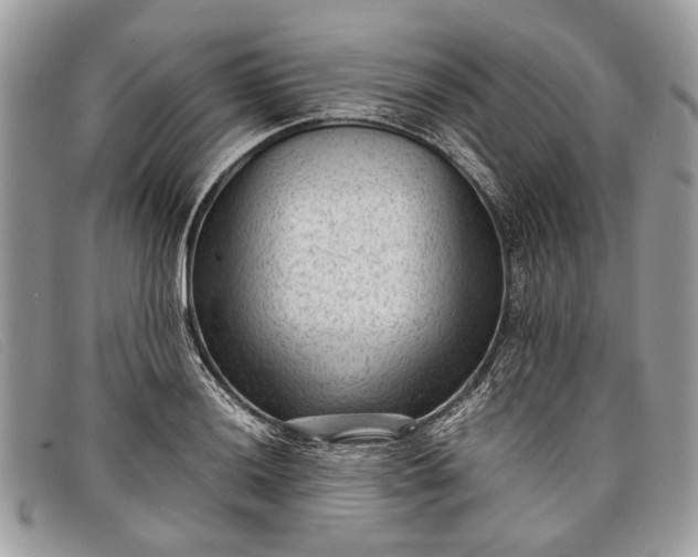 X0000098021036200804111252