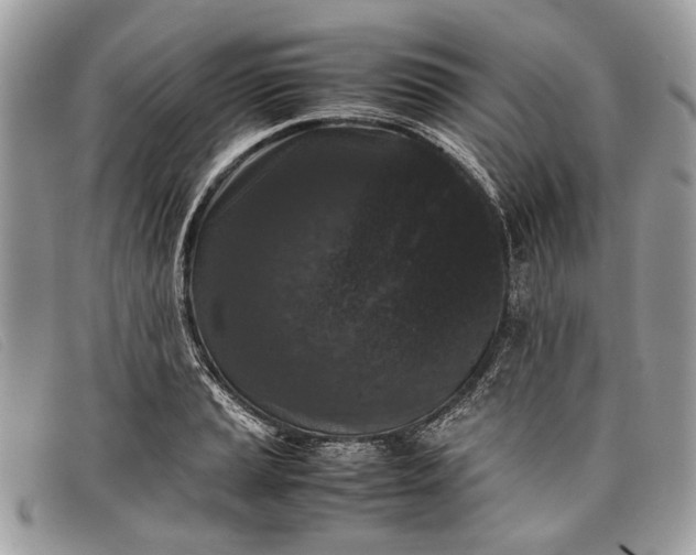 X0000098021037200804111252