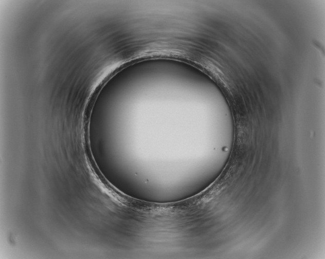 X0000098021038200804111252