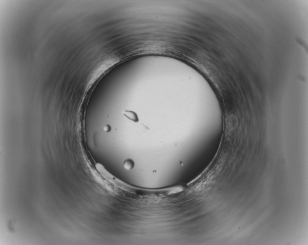 X0000098021042200804111253