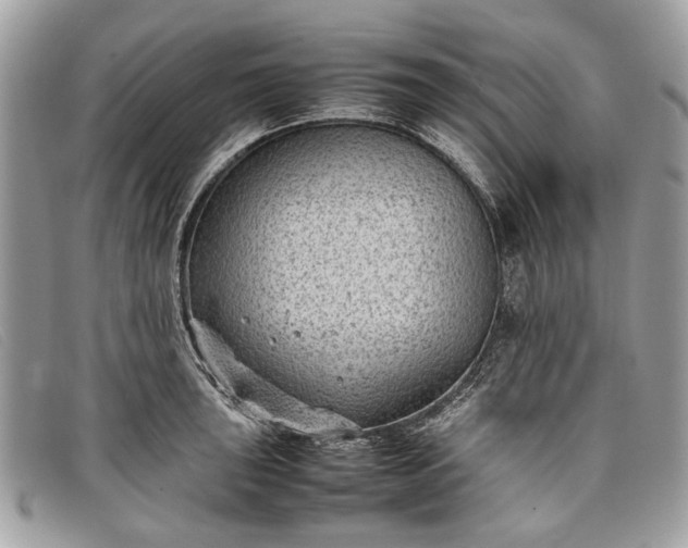 X0000098021043200804111253