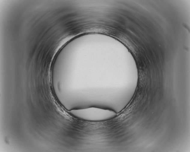 X0000098021044200804111253